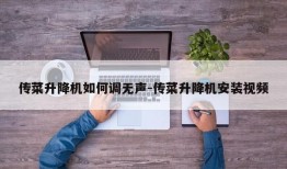 传菜升降机如何调无声-传菜升降机安装视频