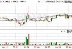 11月21日 13:06分  亚香股份（301220）股价快速拉升