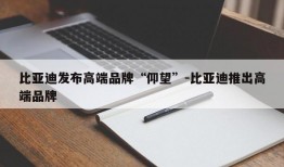 比亚迪发布高端品牌“仰望”-比亚迪推出高端品牌