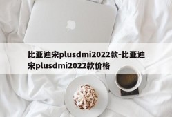 比亚迪宋plusdmi2022款-比亚迪宋plusdmi2022款价格