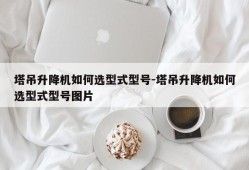 塔吊升降机如何选型式型号-塔吊升降机如何选型式型号图片