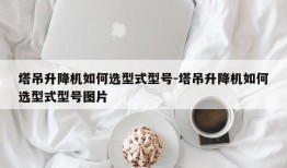 塔吊升降机如何选型式型号-塔吊升降机如何选型式型号图片