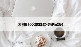 奔驰E3002023款-奔驰e260