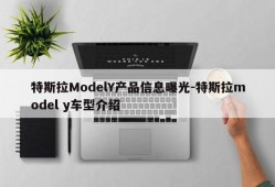 特斯拉ModelY产品信息曝光-特斯拉model y车型介绍