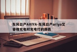 东风日产ARIYA-东风日产ariya艾睿雅充电时充电灯的颜色