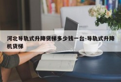 河北导轨式升降货梯多少钱一台-导轨式升降机货梯