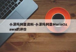 小泽玛利亚资料-小泽玛利亚MariaOzawa的评价