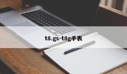 t8.gs-t8g手表