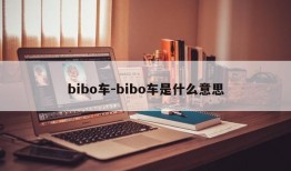 bibo车-bibo车是什么意思