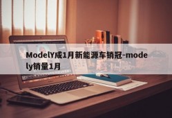 ModelY成1月新能源车销冠-modely销量1月