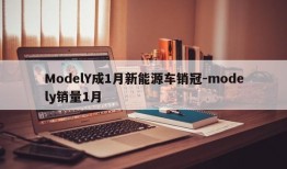 ModelY成1月新能源车销冠-modely销量1月