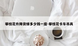 攀枝花升降货梯多少钱一座-攀枝花卡车吊具