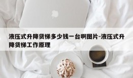 液压式升降货梯多少钱一台啊图片-液压式升降货梯工作原理