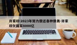 许家印:2023年努力偿还各种债务-许家印欠国家8000亿