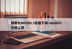 特斯拉MODEL3价格下调-model3价格上调