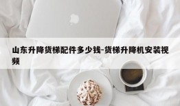 山东升降货梯配件多少钱-货梯升降机安装视频