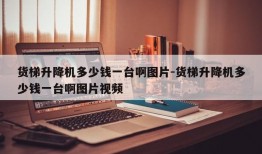 货梯升降机多少钱一台啊图片-货梯升降机多少钱一台啊图片视频