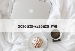 XC90试驾-xc90试驾 胖哥