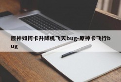 原神如何卡升降机飞天bug-原神卡飞行bug