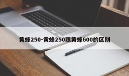 黄蜂250-黄蜂250跟黄蜂600的区别