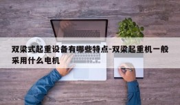 双梁式起重设备有哪些特点-双梁起重机一般采用什么电机