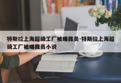 特斯拉上海超级工厂被曝裁员-特斯拉上海超级工厂被曝裁员小说