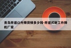 青岛井道口升降货梯多少钱-井道式施工升降机厂家