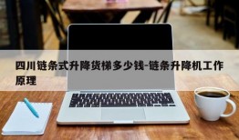 四川链条式升降货梯多少钱-链条升降机工作原理