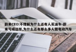 蔚来CEO:不理解为什么还有人买油车-蔚来亏成这样,为什么还有那么多人做电动汽车