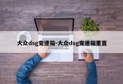 大众dsg变速箱-大众dsg变速箱重置