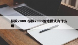 标致2008-标致2008雪地模式有什么用