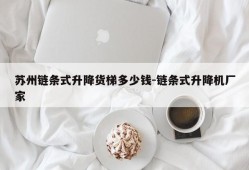 苏州链条式升降货梯多少钱-链条式升降机厂家