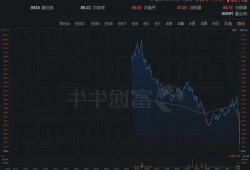 Zoom跌超5%第三财季平均每月流失3%的客户