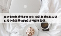 现场安装起重设备有哪些-建筑起重机械安装过程中安装单位的应进行现场监督