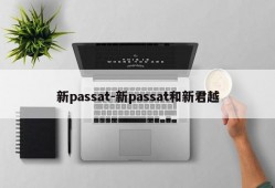 新passat-新passat和新君越