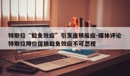 特斯拉“鲶鱼效应”引发连锁反应-媒体评论特斯拉降价促销鲶鱼效应不可忽视