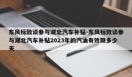 东风标致谈参与湖北汽车补贴-东风标致谈参与湖北汽车补贴2023年的汽油有效期多少天