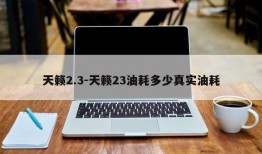 天籁2.3-天籁23油耗多少真实油耗