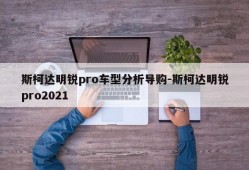 斯柯达明锐pro车型分析导购-斯柯达明锐pro2021