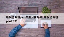 斯柯达明锐pro车型分析导购-斯柯达明锐pro2021