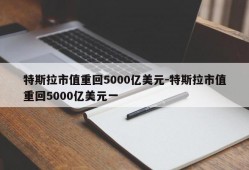 特斯拉市值重回5000亿美元-特斯拉市值重回5000亿美元一