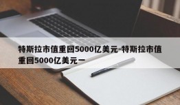 特斯拉市值重回5000亿美元-特斯拉市值重回5000亿美元一