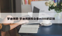 梦迪博朗-梦迪博朗和众泰m300的区别