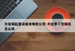 大信镇起重设备有哪些公司-大信重工挖掘机怎么样