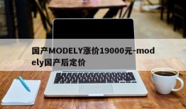 国产MODELY涨价19000元-modely国产后定价