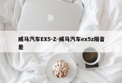 威马汽车EX5-Z-威马汽车ex5z隔音差