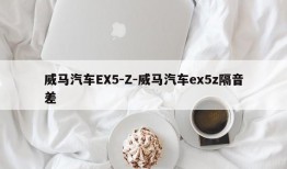 威马汽车EX5-Z-威马汽车ex5z隔音差