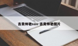 吉奥帅驰suv-吉奥帅驰图片