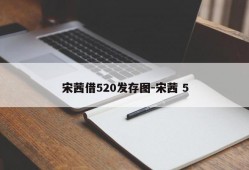 宋茜借520发存图-宋茜 5