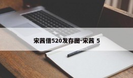 宋茜借520发存图-宋茜 5